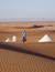 Vorschau auf Bild 36 zu Marokko für Familien: Wüstenfuchs (Marrakech, Marokko)