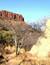 Vorschau auf Bild 23 zu Namibia auf eigene Faust (Windhoek, Namibia)