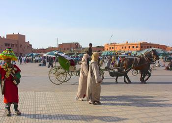 Bild 3 zum Reiseprogramm von Marokko für Familien: Wüstenfuchs