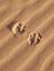 Vorschau auf Bild 35 zu Marokko für Familien: Wüstenfuchs (Marrakech, Marokko)