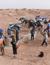 Vorschau auf Bild 15 zu Marokko für Familien: Wüstenfuchs (Marrakech, Marokko)