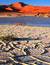 Vorschau auf Bild 13 zu Namibia auf eigene Faust (Windhoek, Namibia)