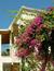 Vorschau auf Bild 5 zu Garten- und Strandparadies (Sivota, Griechenland)